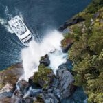 Milford Sound: Nature Cruise - Grand Views & Optional Lunch - The Itinerary: What to Expect