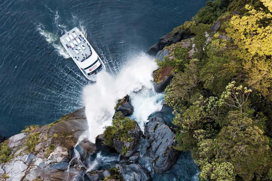 Milford Sound: Nature Cruise - Grand Views & Optional Lunch - The Itinerary: What to Expect