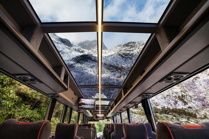Milford Sound Premium Coach and Cruise with Lunch from Te Anau - What Makes This Tour Stand Out