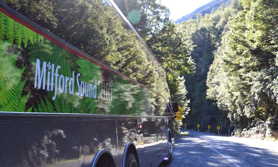 Milford Sound Premium Day Tour and Cruise from Te Anau - The Itinerary in Detail