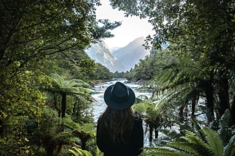 Milford Sound: Self-Guided Milford Track Day Walk - What Makes This Experience Special?
