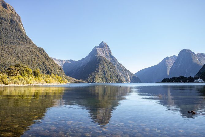 Milford Sound Small Group Tour from Queenstown with Scenic Flight - The Practical Side: What to Expect