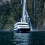 Milford Sound: Waterfalls, Wildlife, and Rainforest Cruise - Why This Tour Works