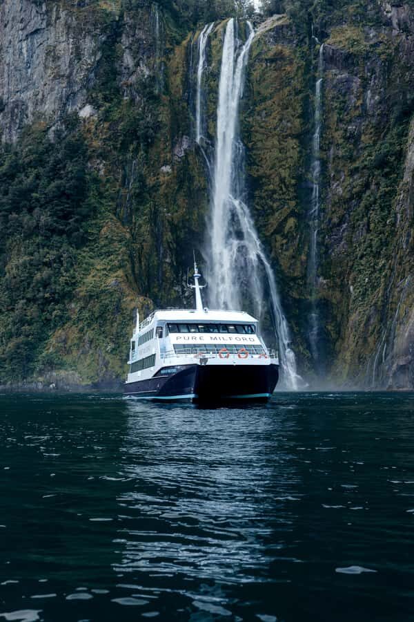 Milford Sound: Waterfalls, Wildlife, and Rainforest Cruise - Why This Tour Works