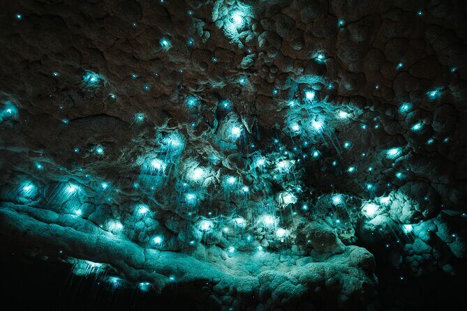 Milky Way Glowworm Cave Tour - Exploring the Milky Way Glowworm Cave: What to Expect