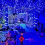 Mini Golf with Rabbits in Rotorua - The Experience Itself: What to Expect