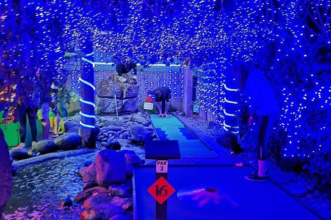 Mini Golf with Rabbits in Rotorua - The Experience Itself: What to Expect