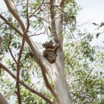 Minjerribah Cultural Experience - In-Depth Look at the Itinerary