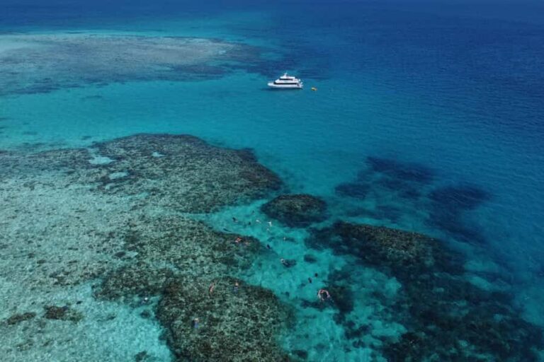 Mission Beach: Outer Great Barrier Reef & Dunk Island Tour - What Travelers Say