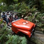 Monster 4X4 Thrill Ride at Off Road NZ - Detailed Breakdown of the Tour Itinerary