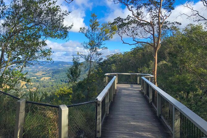 Montville, Maleny and Sunshine Coast Hinterland Tour with Lunch - Who Will Love This Tour?