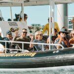 Mooloolaba: 2-Hour Whale Watching Adventure - What to Expect: The Itinerary in Detail