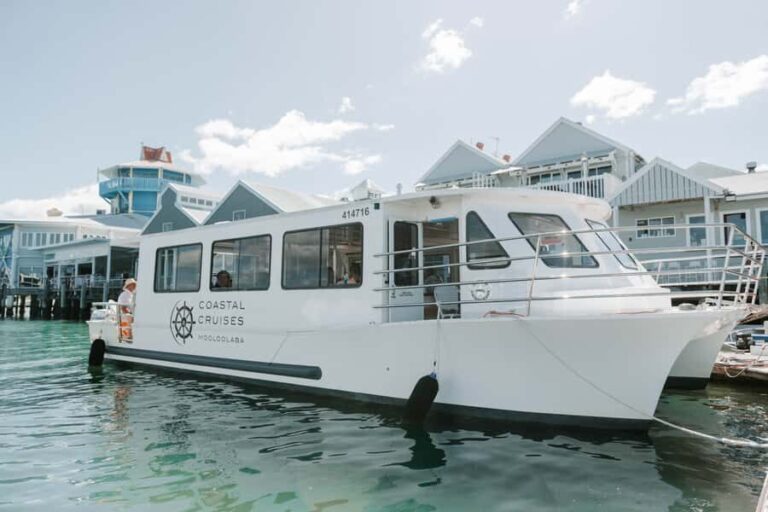 Mooloolaba: Seafood Lunch Cruise - The Value for Money