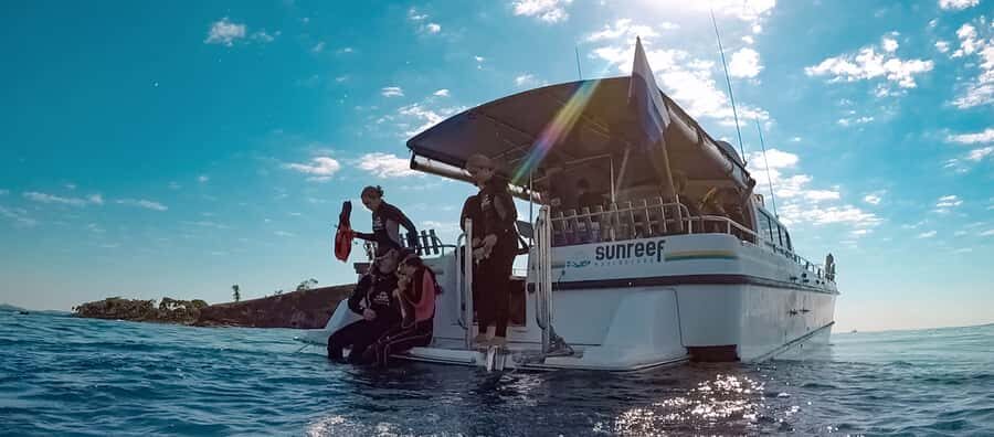 Mooloolaba: Snorkel with Turtles Mudjimba Island - The Sum Up
