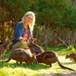 Moonlit Sanctuary Conservation Park Entry Ticket - The Itinerary Breakdown: What to Expect on Your Day at Moonlit Sanctuary