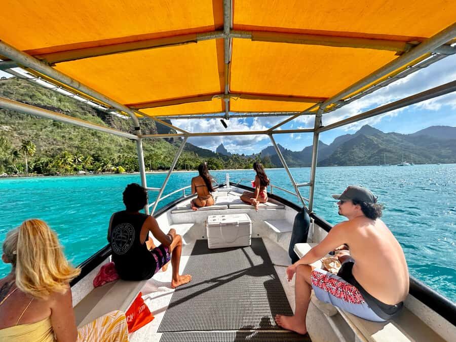 Moorea 4H Shared Boat Tour Whale Swimming and Snorkeling - The Experience in Detail