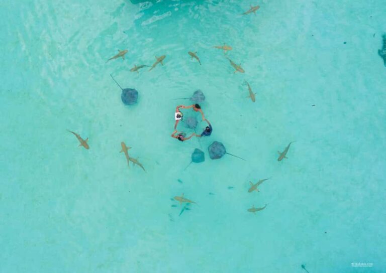 MOOREA 6H PRIVATE BOAT TOURS SNORKELING & LUNCH - Who Should Consider This Tour?