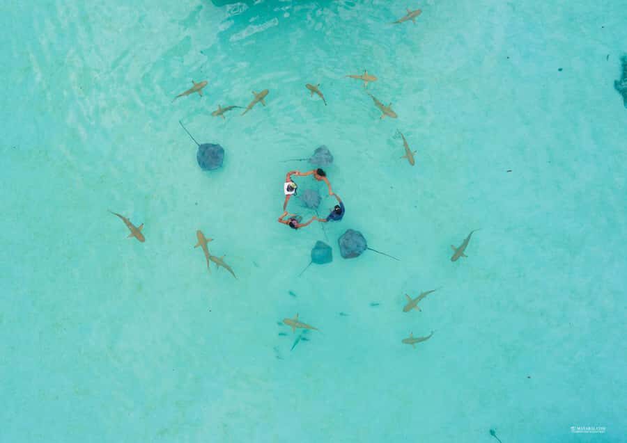 MOOREA 6H PRIVATE BOAT TOURS SNORKELING & LUNCH - Who Should Consider This Tour?