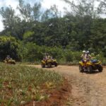 Mo'orea: Guided ATV Nature Tour - Key Points