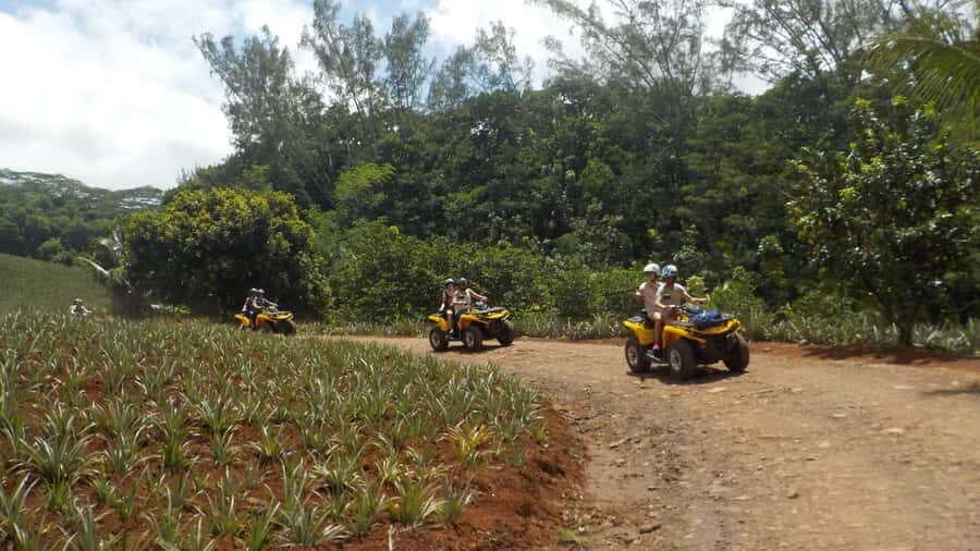 Mo'orea: Guided ATV Nature Tour - Key Points
