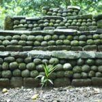 Moorea Highlights Private Tour: Natural and Cultural Attraction - FAQs about the Moorea Highlights Private Tour