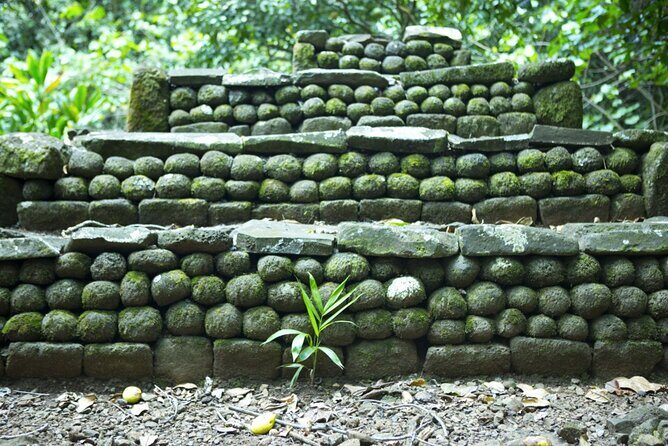 Moorea Highlights Private Tour: Natural and Cultural Attraction - FAQs about the Moorea Highlights Private Tour