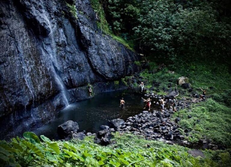 Moorea: Island Tour with Waterfall Hike and Lunch - What the Tour Means for You