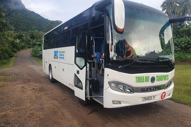 Moorea Island Tour - The Final Word: Is This Tour for You?