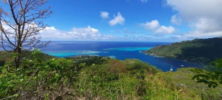 Moorea : Safari Nature and Culture Tour with local guide - What We Loved and Considerations