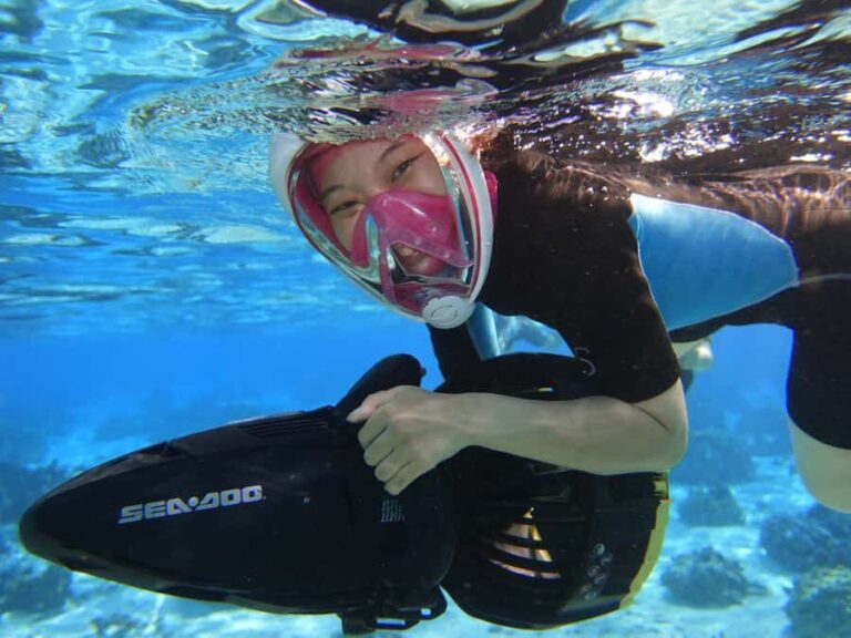 Moorea: Sea Scooter Snorkeling Tour - What Makes This Tour Stand Out?