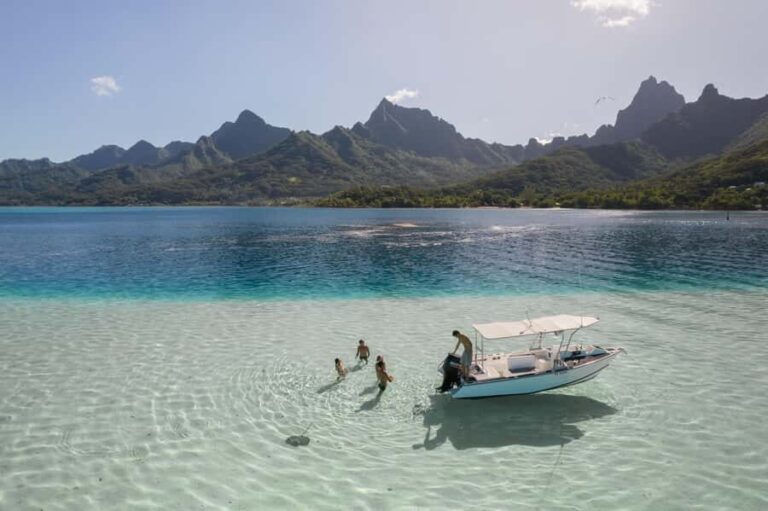 Moorea: Small Group Snorkeling Tour with local guide - Dolphin Watching in the South Coast