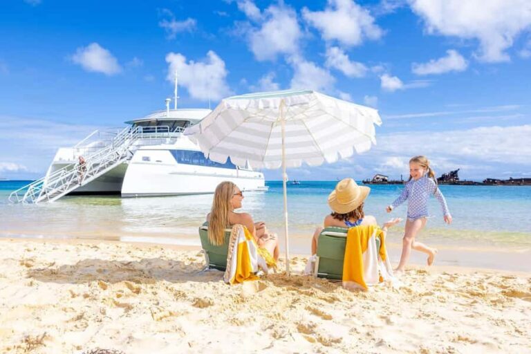 Moreton Island: Dolphin & Tangalooma Wrecks Snorkel Cruise - Itinerary Breakdown