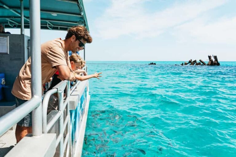 Moreton Island: Marine Discovery Cruise & Dolphin Feeding - What’s Included and What’s Not