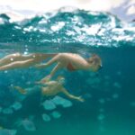 Moreton Island: Tangalooma Day Trip with Snorkeling Tour - Analyzing the Value for Money