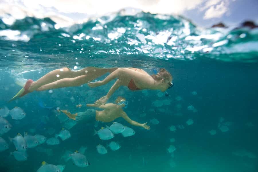 Moreton Island: Tangalooma Day Trip with Snorkeling Tour - Analyzing the Value for Money