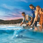 Moreton Island: Tangalooma Snorkeling Tour & Dolphin Feeding - Snorkeling the Iconic Wrecks