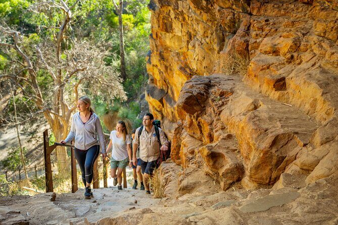 Morialta Wilderness and Wildlife Hike - The Sum Up