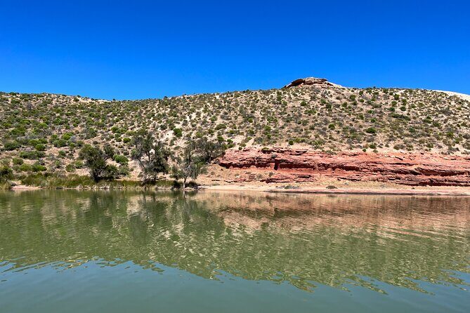 Morning Cruise on the Murchison River in Kalbarri (April to Nov) - Who Will Love This Tour?