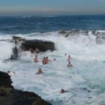 Morning or Afternoon Highlights Tour in Sydney with a Local Guide - What Travelers Are Saying