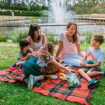 Mornington Peninsula: Enchanted Adventure General Admission - What the Reviews Tell Us