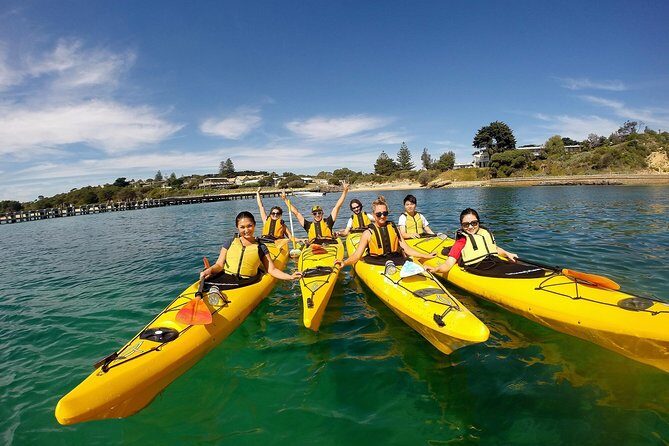 Mornington Peninsula Kayak Coastline Tour of Dolphin Sanctuary - What’s Included and What’s Not