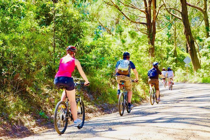 Mornington Peninsula Self-Guided Bike Tour | Food & Wine Region - The Itinerary in Detail