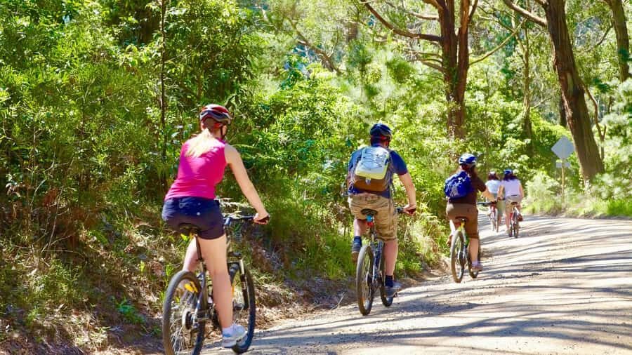 Mornington Peninsula: Self Guided Food & Wine Cycle Tour - What to Expect: Each Stop and Experience