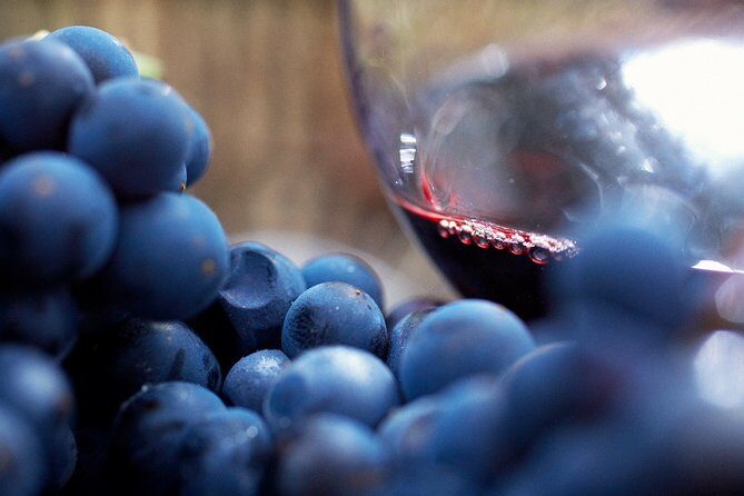 Mornington Peninsula Small Group Rare Hare or Merricks Wine Store - Why This Tour Works