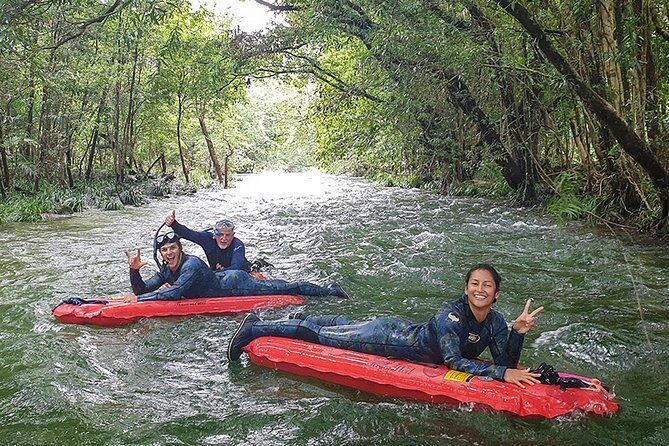 Mossman Gorge Adventure Day - Analyzing the Value