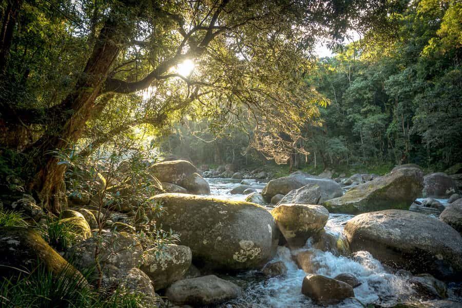 Mossman Gorge: Day Tour with River Drift Experience - Detailed Breakdown of the Itinerary