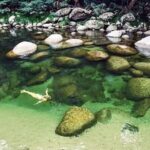 MOSSMAN GORGE TRANSFER between Port Douglas and Mossman Gorge (return) - Who Is This Tour Best For?