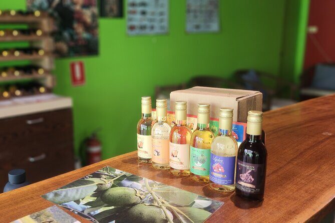 Mossman Highlights eBike Tour - Discovering Mossman Gorge and Cultural Insights