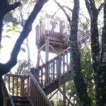 Motuara Island Bird Sanctuary and Ship Cove Cruise from Picton - Who Would Enjoy This Tour?