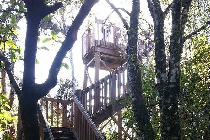 Motuara Island Bird Sanctuary and Ship Cove Cruise from Picton - Who Would Enjoy This Tour?